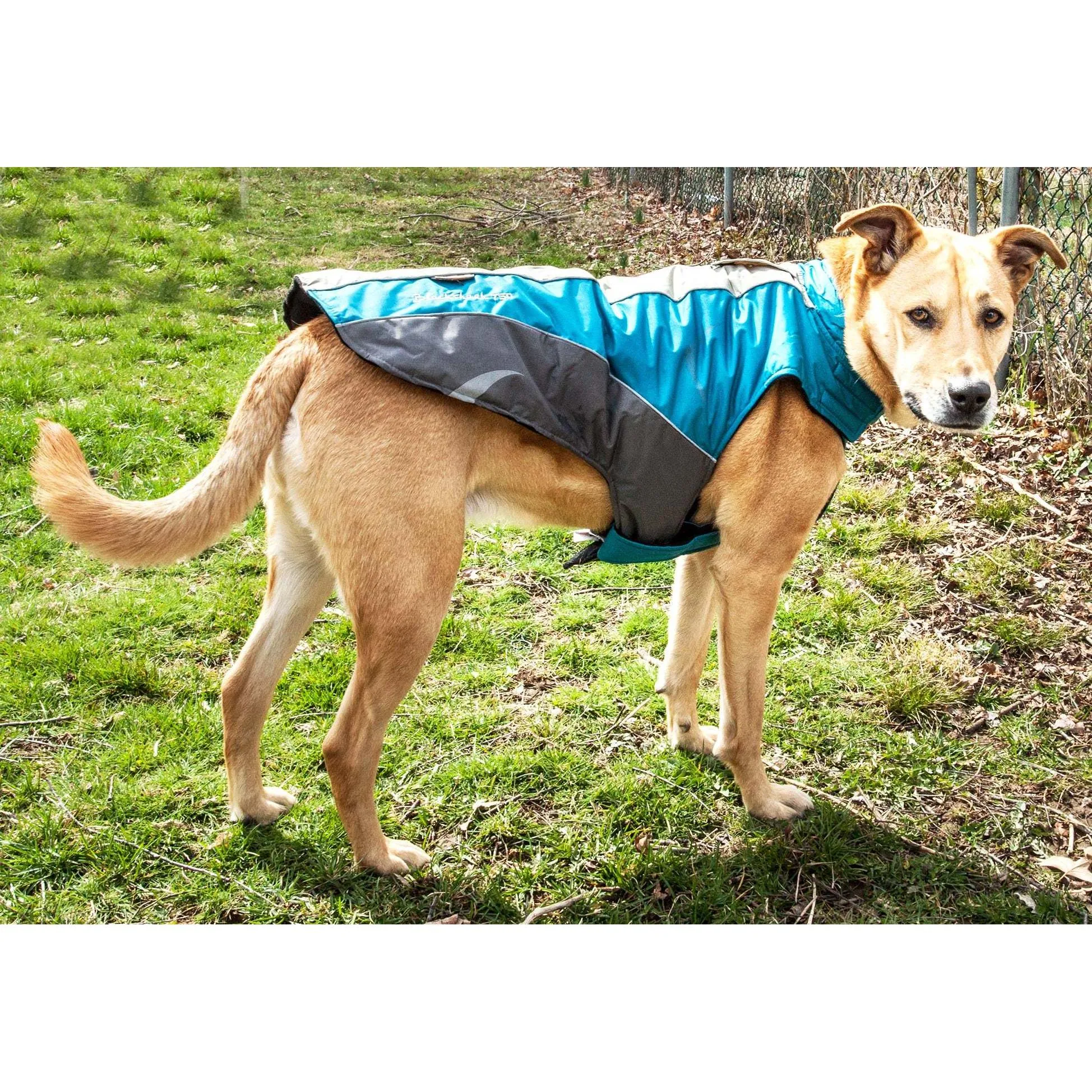 Waterproof dog coat for outdoor activities Fashion