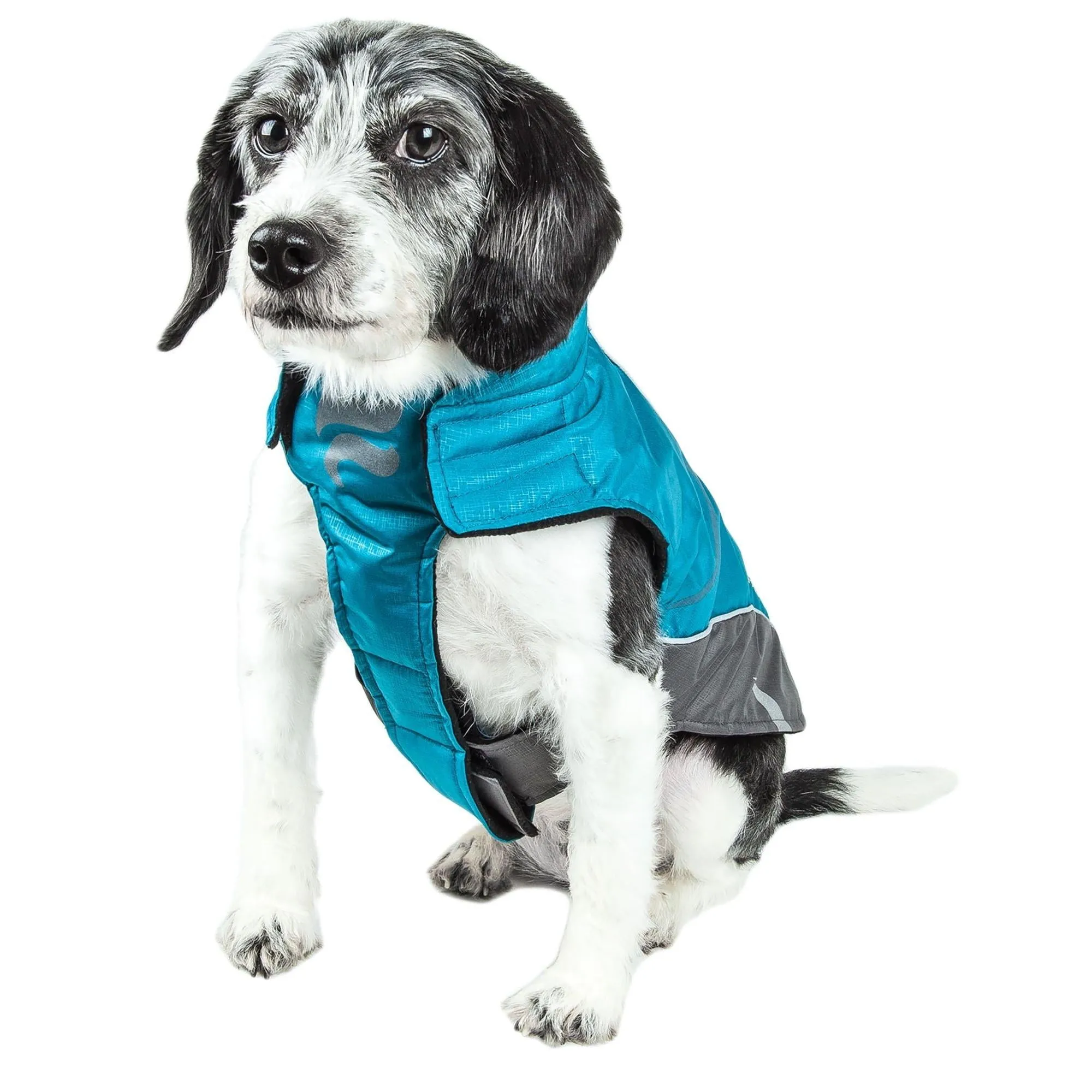 Waterproof dog coat for outdoor activities Fashion