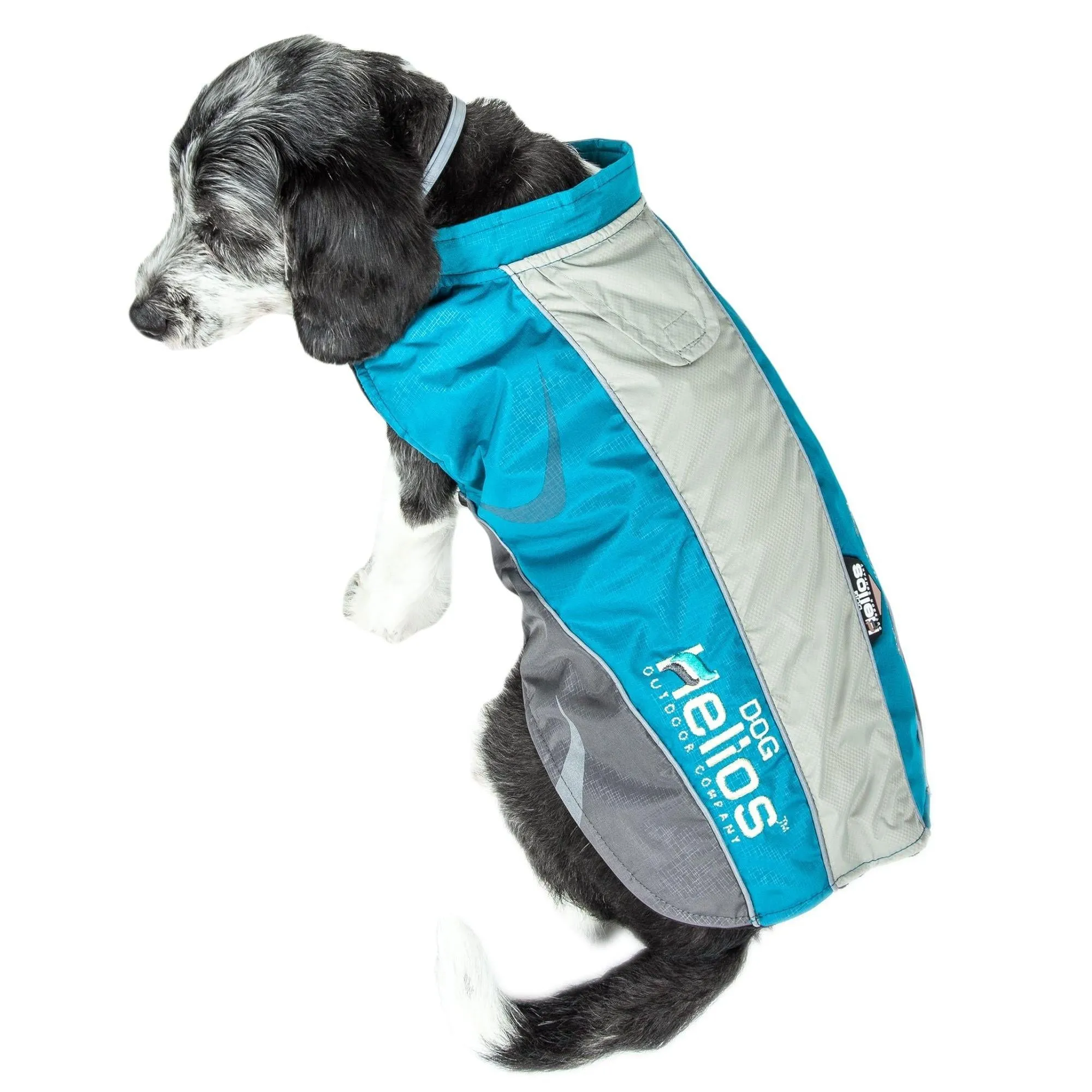 Waterproof dog coat for outdoor activities Fashion