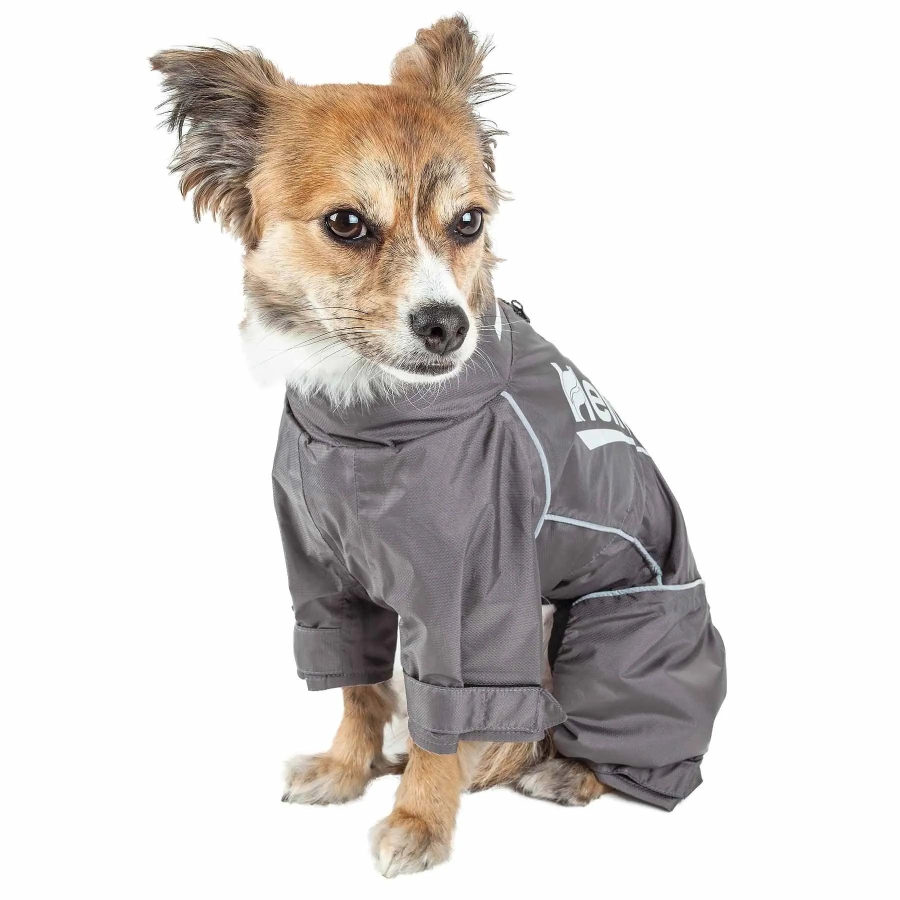 Waterproof dog coat jacket Fashion