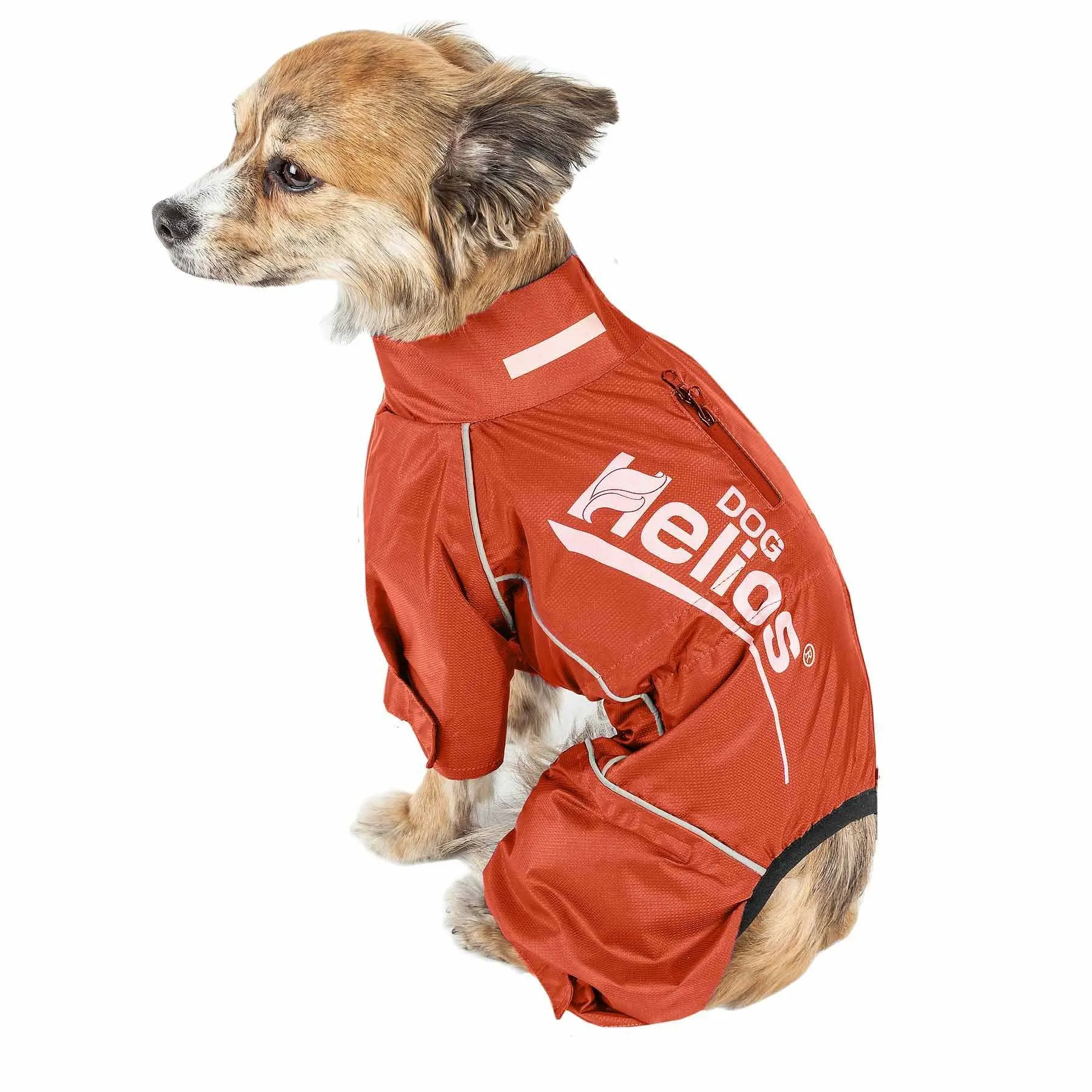 Waterproof dog coat jacket Fashion