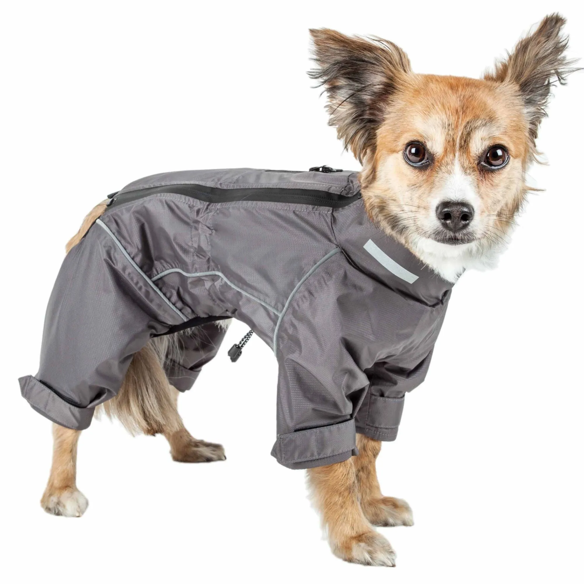 Waterproof dog coat jacket Fashion