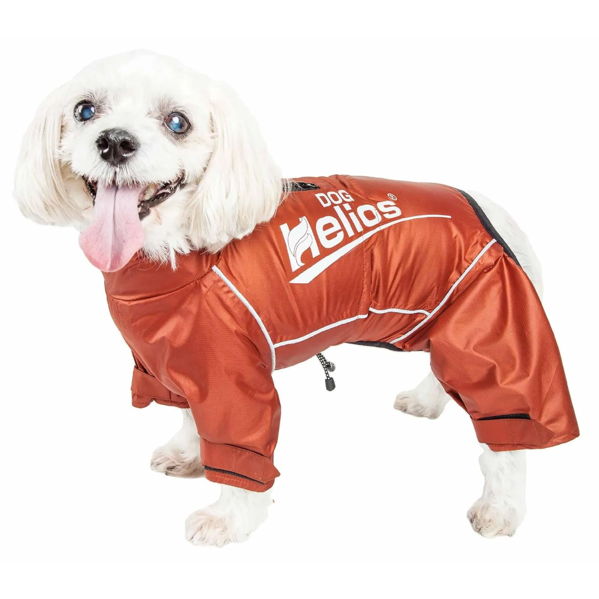 Waterproof dog coat jacket Fashion