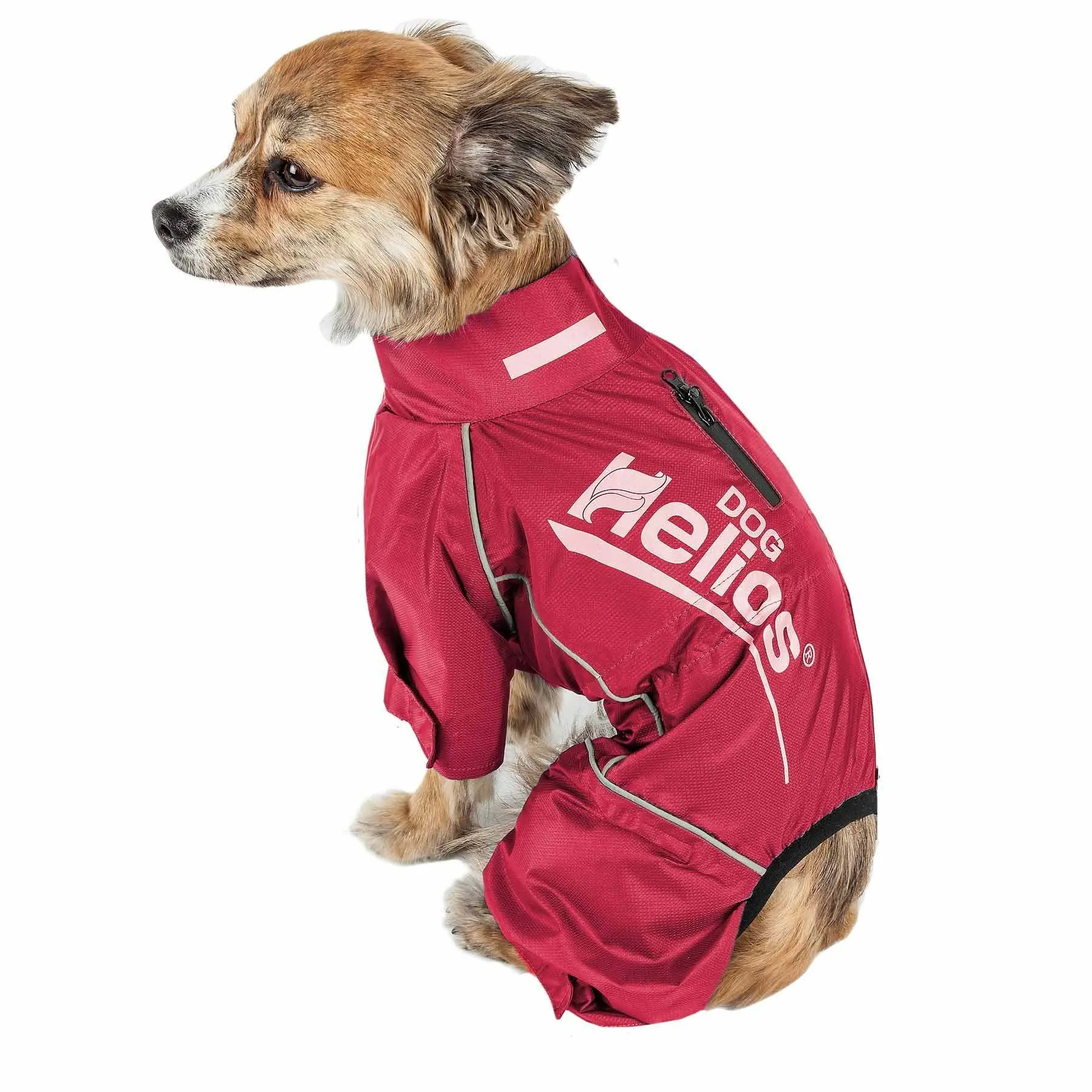 Waterproof dog coat jacket Fashion